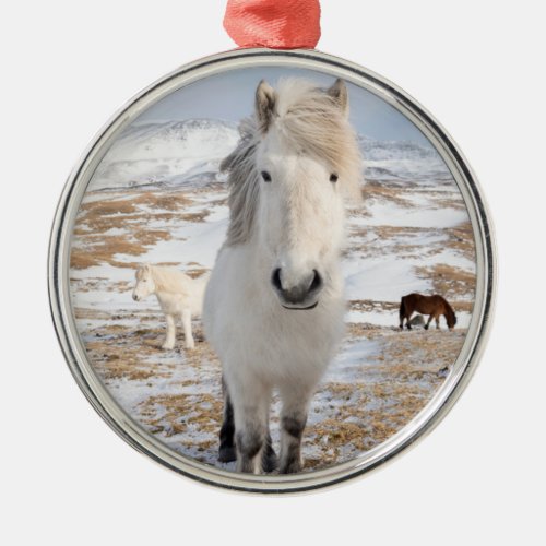 White Icelandic Horse Iceland Metal Ornament