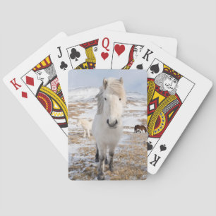 White Icelandic Horse, Iceland Poker Cards