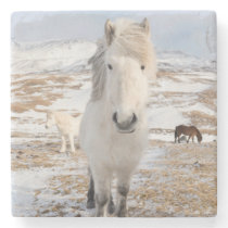 White Icelandic Horse, Iceland Stone Coaster
