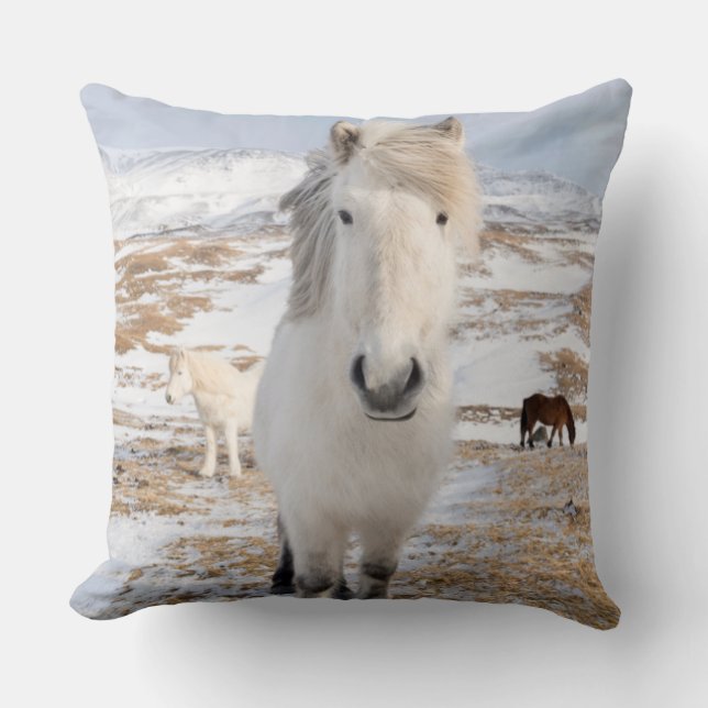 White Icelandic Horse, Iceland Throw Pillow (Front)
