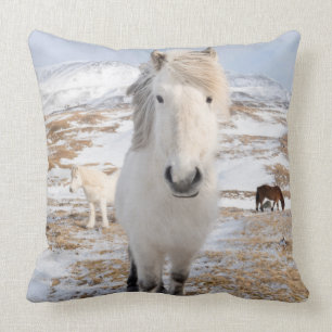 White Icelandic Horse, Iceland Throw Pillow