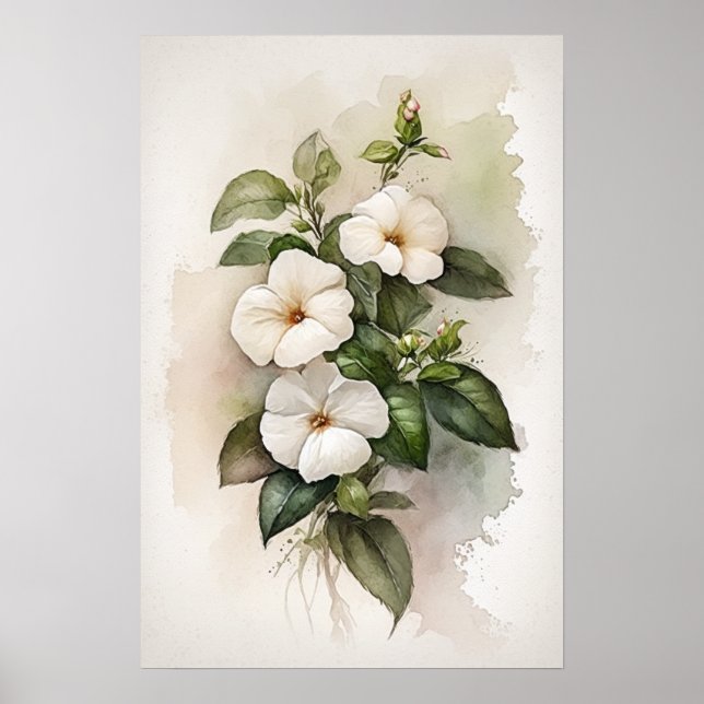 White Impatiens Flower Art Print Poster (Front)