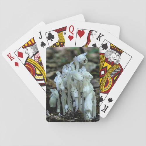 White Indian Pipe Ghost Flower Wildflowers  Poker Cards