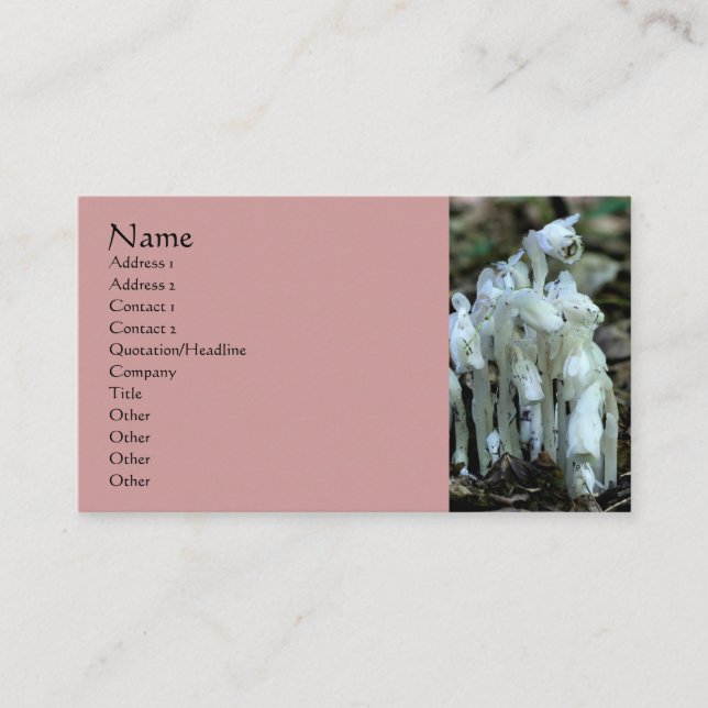 White Indian Pipe Wildflowers Business Card (Front)