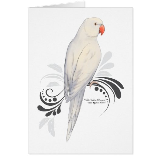 White Indian Ringneck Parrot Cards (Front)