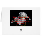 White Iris (Back Horizontal)