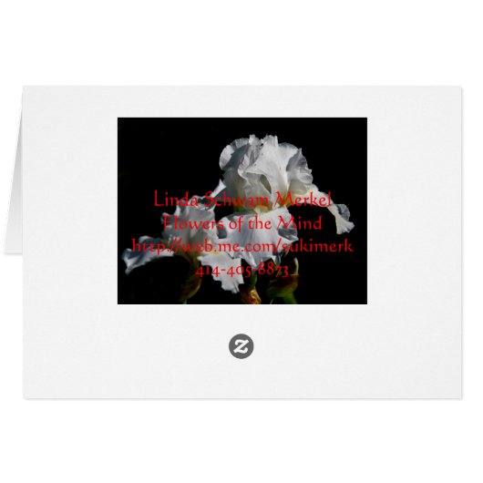 White Iris (Back Horizontal)