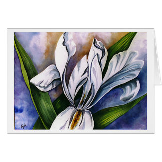 White Iris 2 by Barbara Beck-Azar Cards