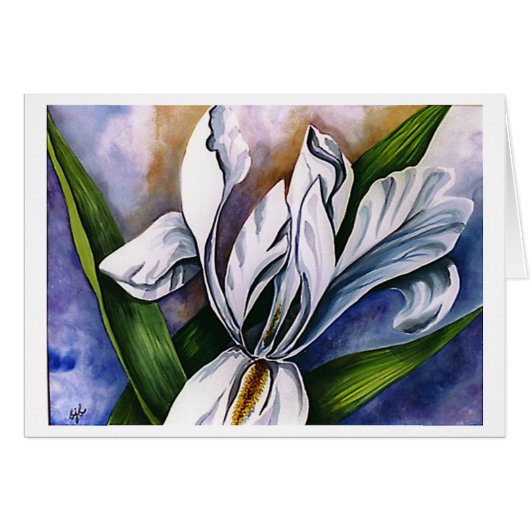 White Iris 2 by Barbara Beck-Azar Cards (Front Horizontal)