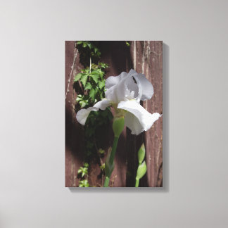 White Iris Designer Print