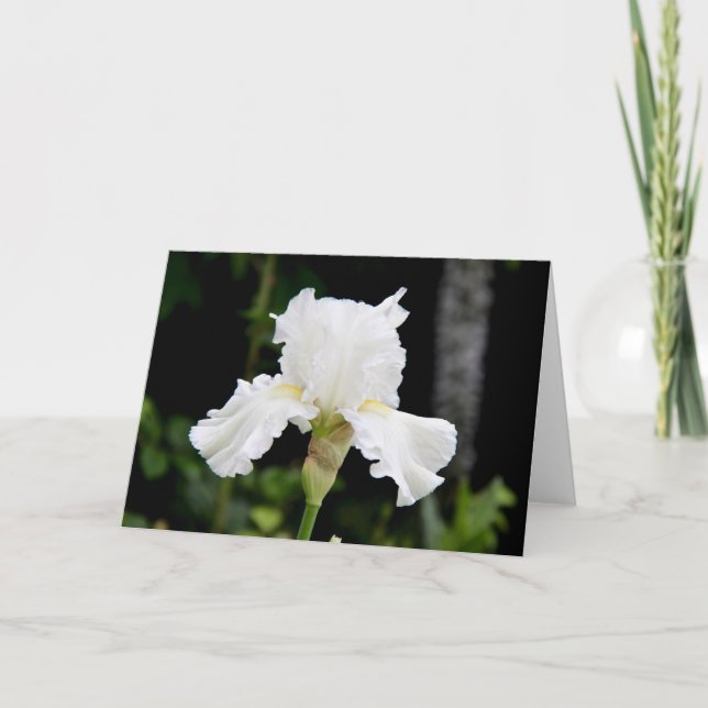 White Iris Flower Greeting Card (Blank Inside) (Front)