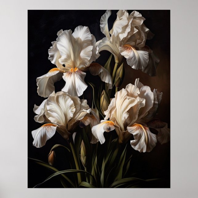 White Iris Flowers Art Print Poster (Front)