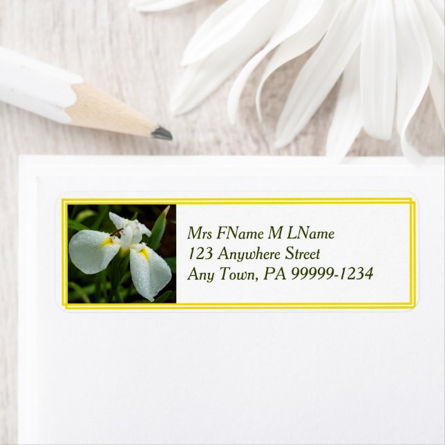 White Iris Label (Insitu)