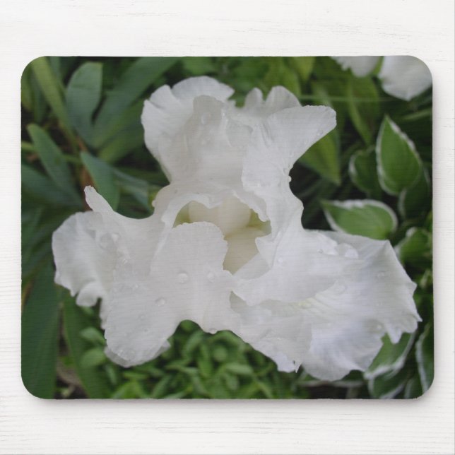 White Iris Mouse Pad (Front)