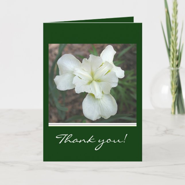 White Iris Thank you card (Front)