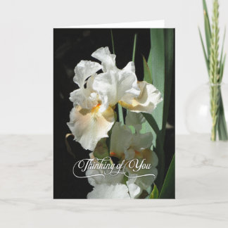White Iris Thinking of You Blank Card