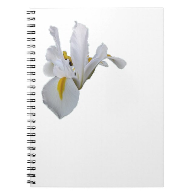 White Iris with Yellow Centre Notebook (Front)