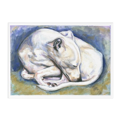 White Italian Greyhound Painting Acrylic Print