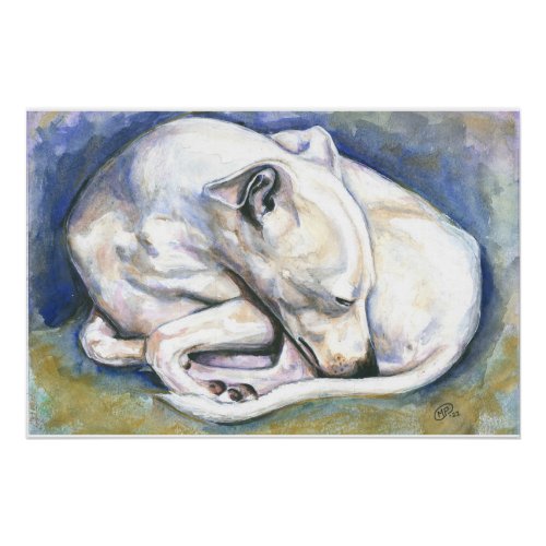 White Italian Greyhound Painting Poster