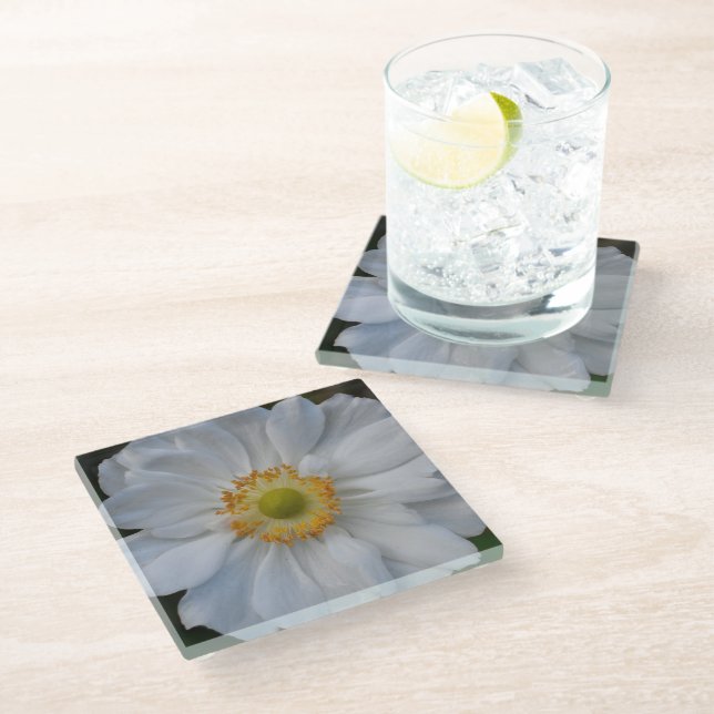 White Japanese Anemone Floral Glass Coaster (Angled)