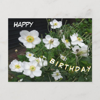 White Japanese Anemones Birthday Postcard