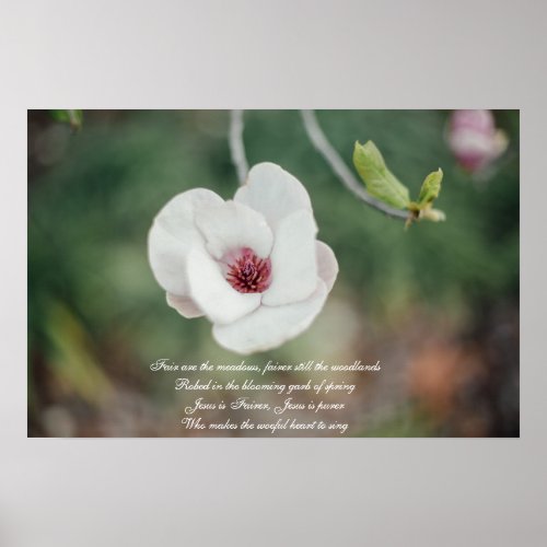 White Japanese Magnolia Flower with Old Hymn Poster