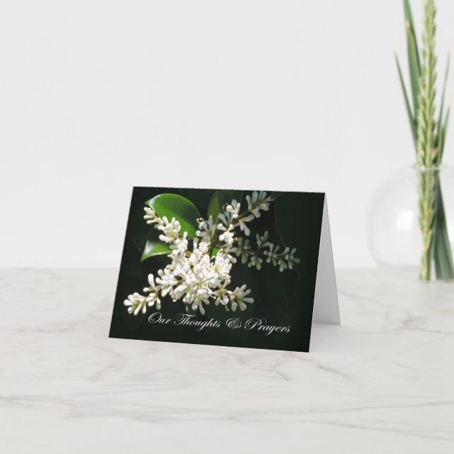 White Japanese Privet Thoughts & Prayers Sympathy Card (Front)