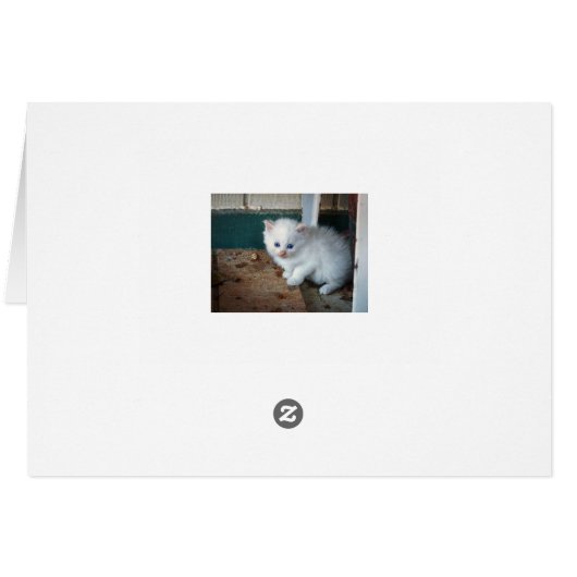 White Kitten (Back Horizontal)