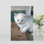 White Kitten (Standing Front)