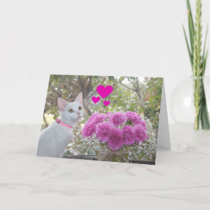 White Kitten and Pink Carnations Valentine Holiday Card