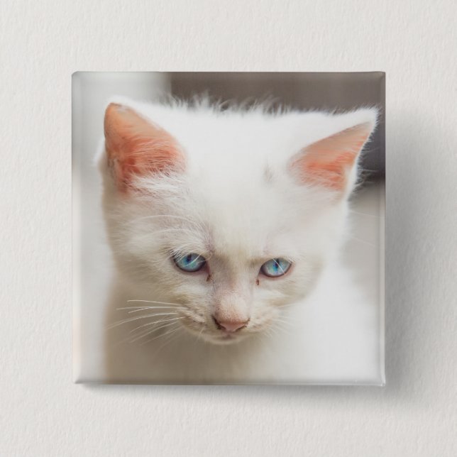White Kitten Button (Front)