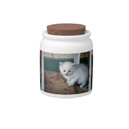 White Kitten Candy Dish