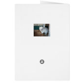 White Kitten Cards (Back)
