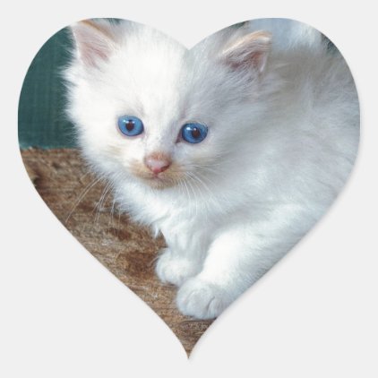 White Kitten Heart Sticker