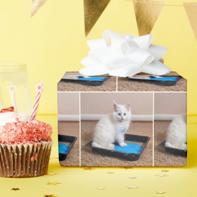 White Kitten In Blue Paint Wrapping Paper (Birthday Party)