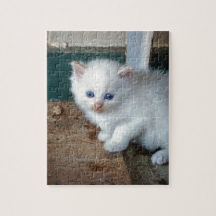 White Kitten Jigsaw Puzzle