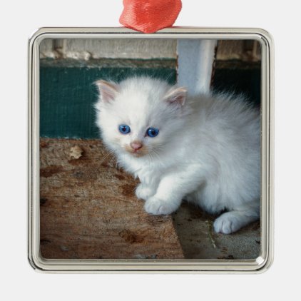 White Kitten Metal Ornament