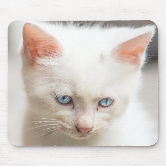 White Kitten Mouse Pad (Front)
