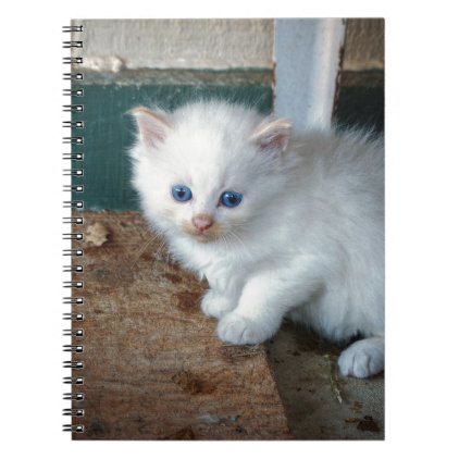 White Kitten Notebook