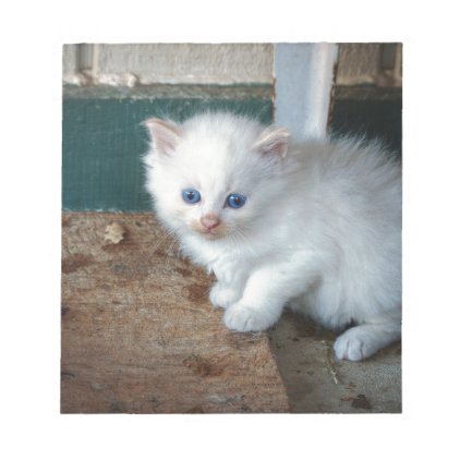 White Kitten Notepad