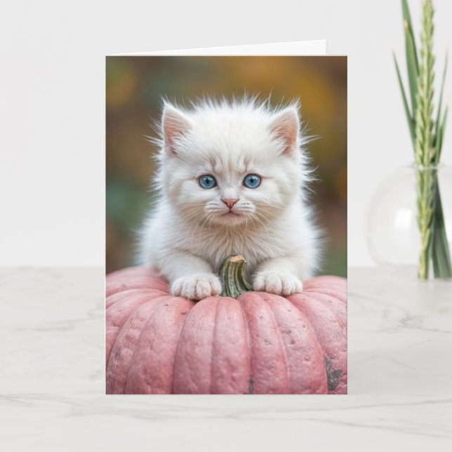White Kitten On Pink Halloween Pumpkin Card (Front)