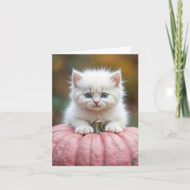 White Kitten On Pink Pumpkin Card (Front)