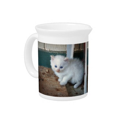 White Kitten Pitcher