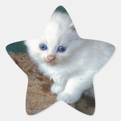 White Kitten Star Sticker