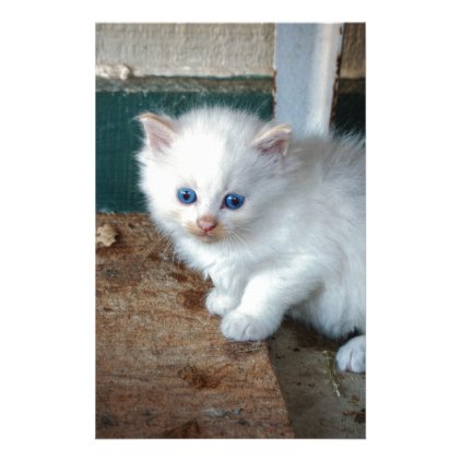 White Kitten Stationery