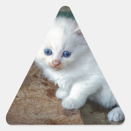 White Kitten Triangle Sticker