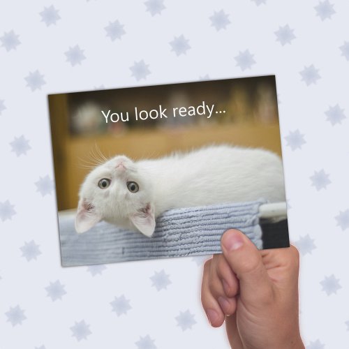 White Kitten Welcome Back to School Message Cards