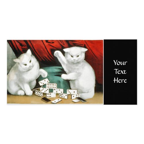 White kittens with dominoes card
