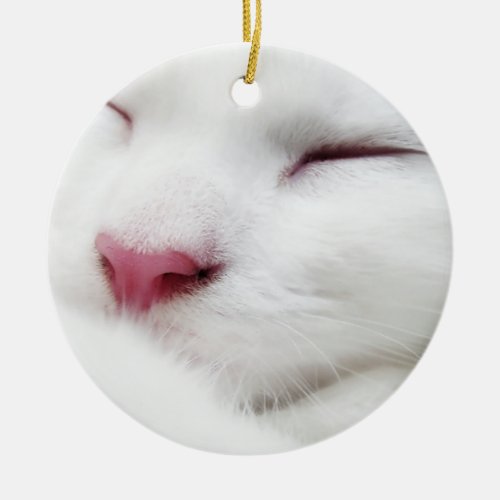 White Kitty Cat Sleeping Face Ornament