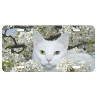 White kitty in flowers license plate